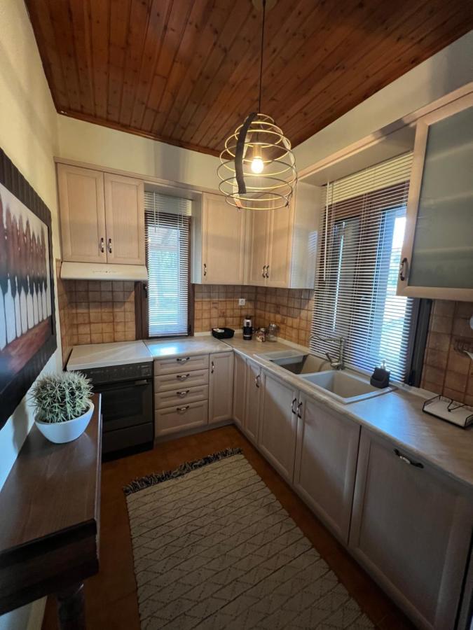 House In The Woods Apartment Karditsa Luaran gambar
